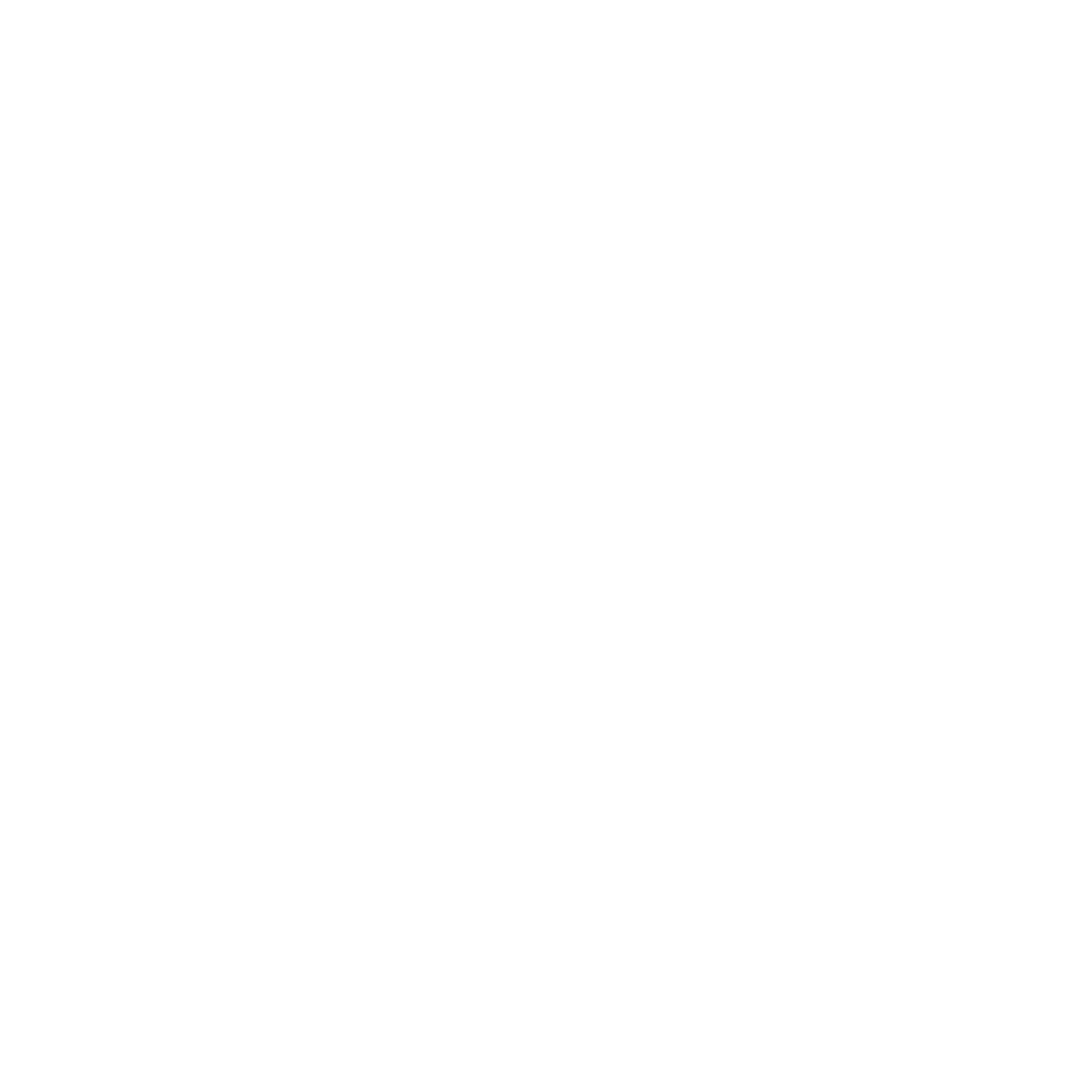 facebookBlanc